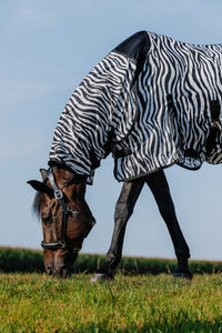 Chemise RIDING WORLD - Belly Mesh - Combo