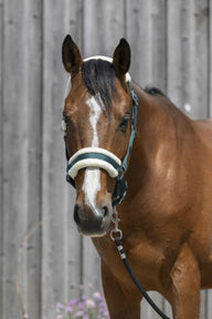 Licol RIDING WORLD mouton synthétique
