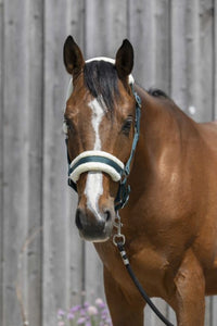 Licol RIDING WORLD mouton synthétique