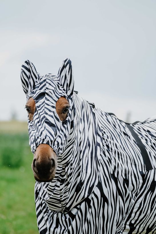 Bonnet anti-eczéma RIDING WORLD