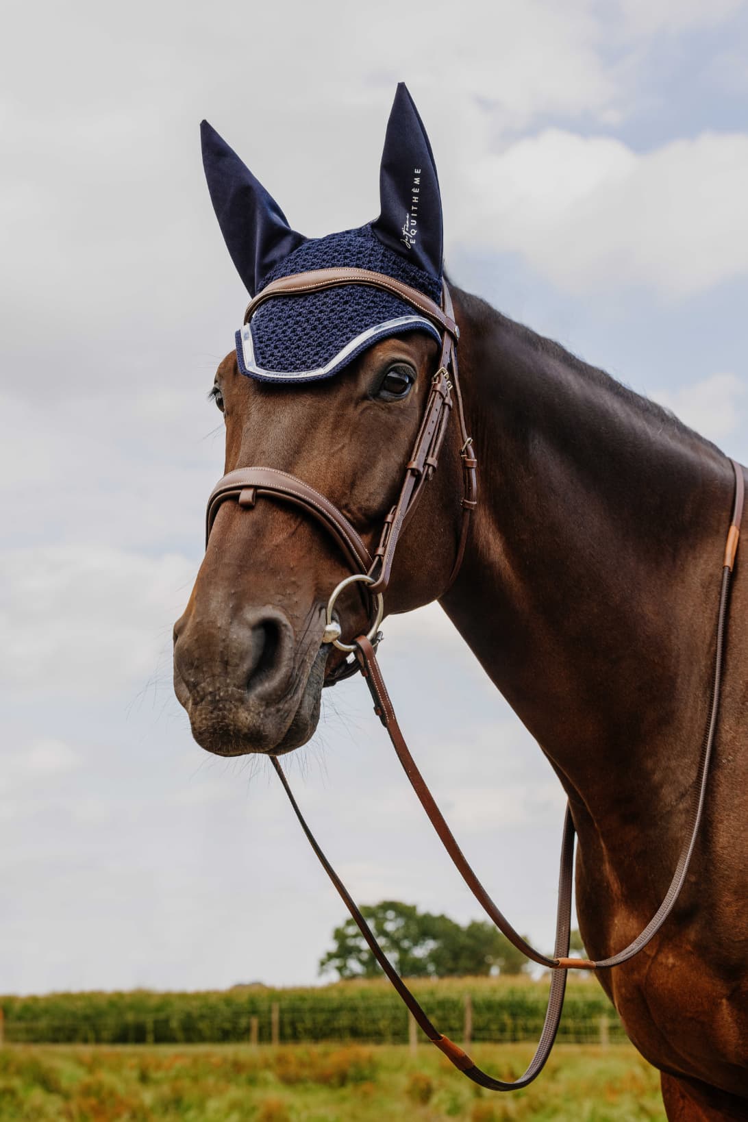 Bonnet chasse-mouche Je t'aime EQUITHÈME - Mirror