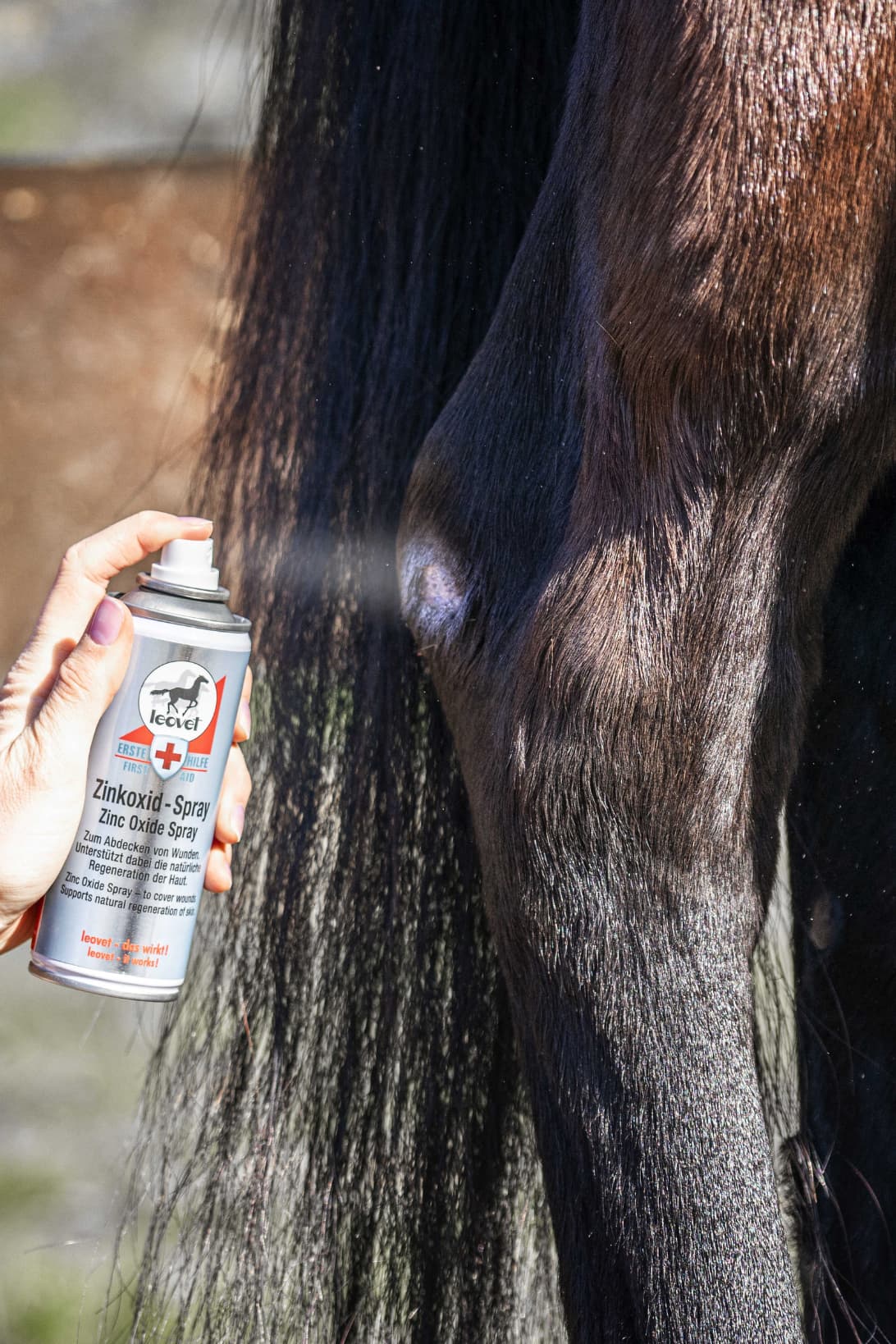Spray au zinc LEOVET
