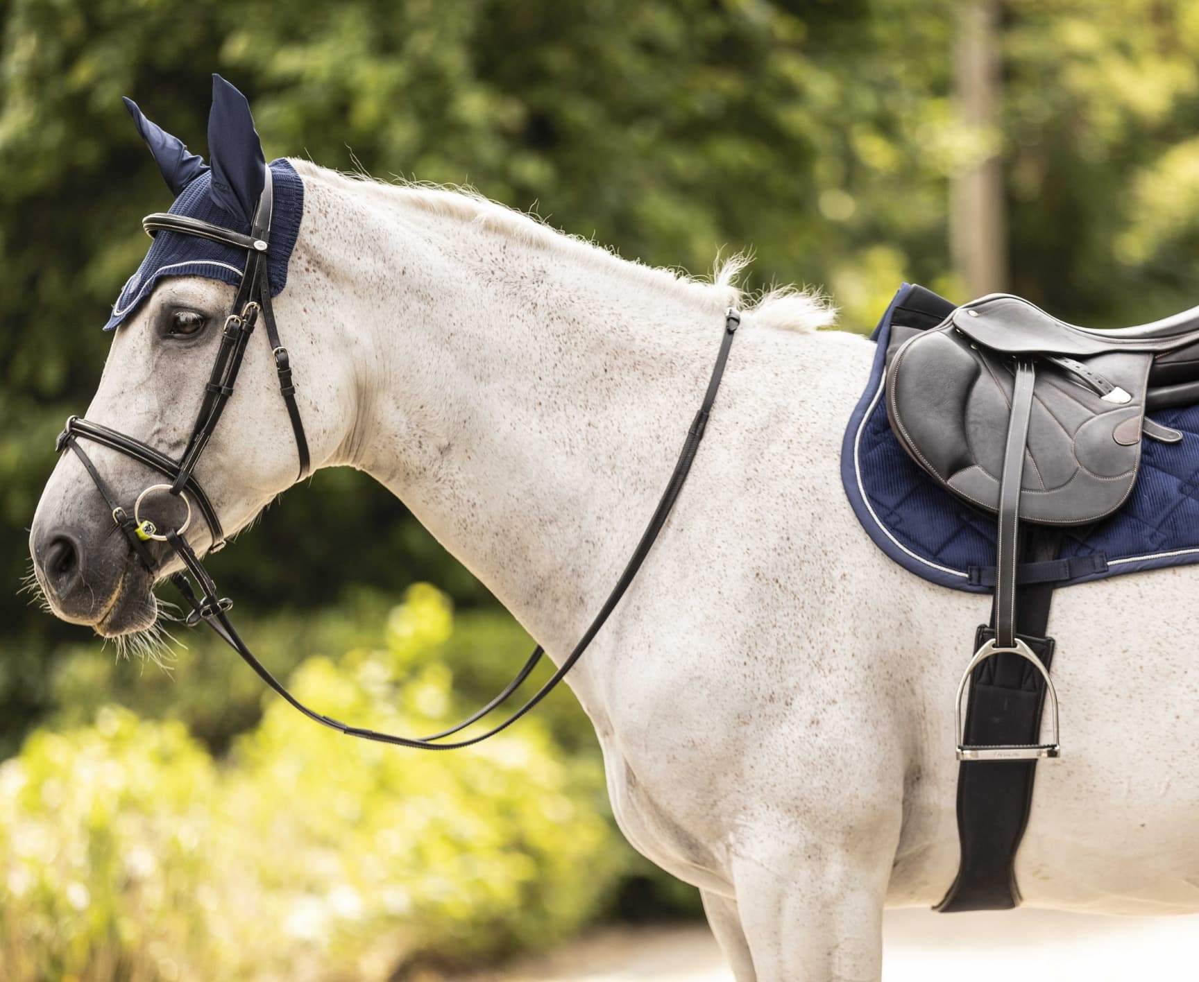 Tapis de selle LAMI-CELL - Luxin