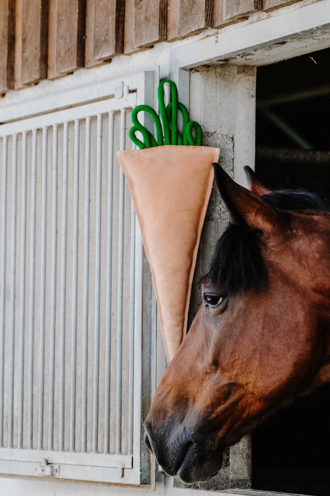 Jouet pour chevaux HIPPOTONIC - Carotte