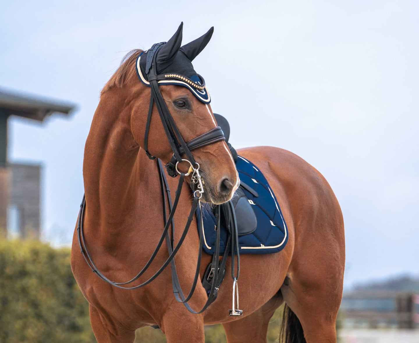 Tapis de selle de dressage BACK ON TRACK® - Night Collection