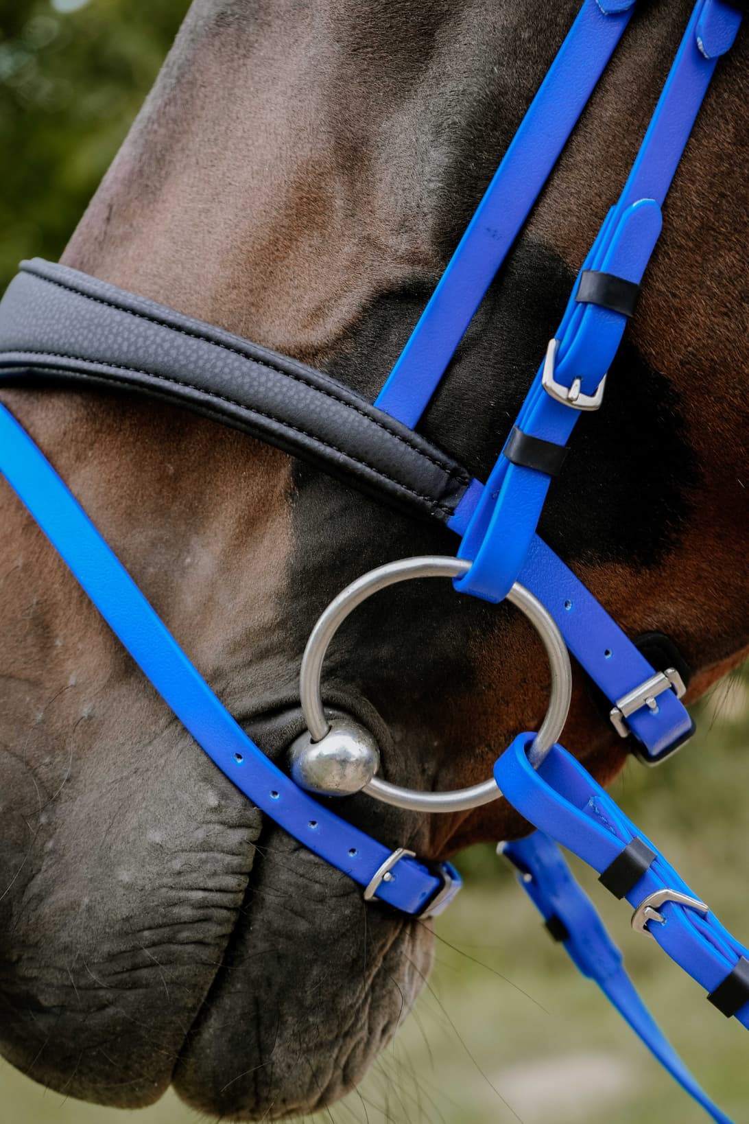 Bridon endurance NORTON - Pop