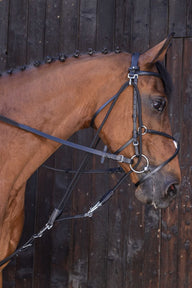 Gogue à poulies RIDING WORLD