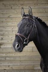 Bridon NORTON PRO - Fin