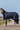 Couverture EQUITHÈME - Classic 1200D - High neck