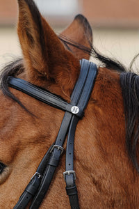 Bridon NORTON - TRAINING