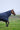 Couverture EQUITHEME - TYREX 1680D