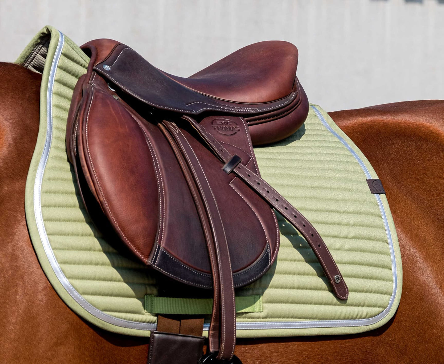 Tapis de selle EQUITHEME - Spring