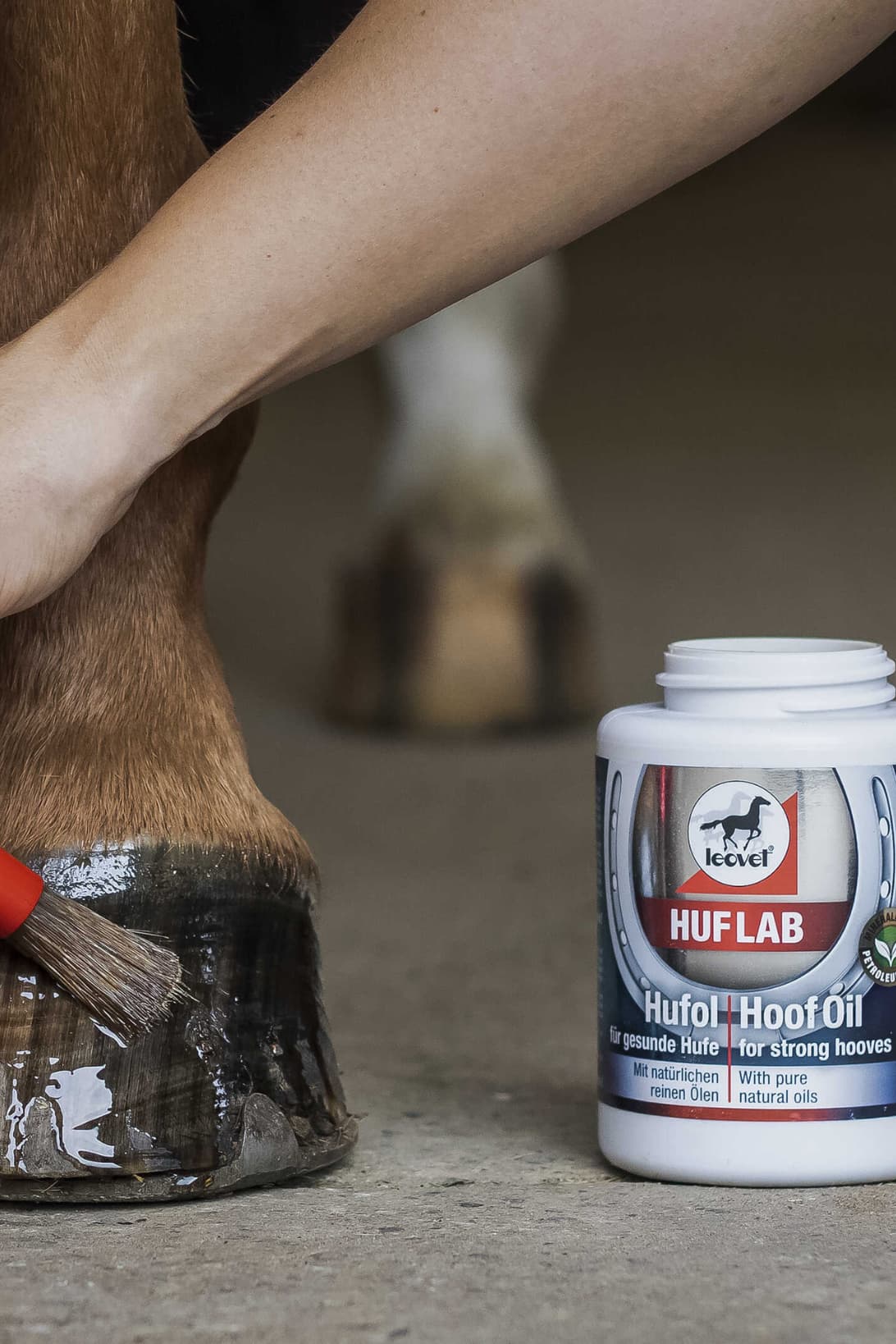 Onguent naturel LEOVET - Huf Lab avec pinceau
