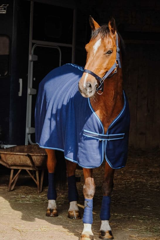 Set complet RIDING WORLD