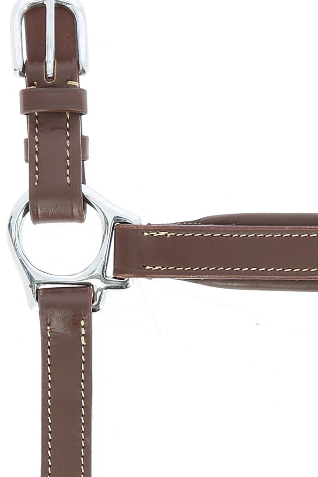 Licol cuir NORTON PRO - Grooming