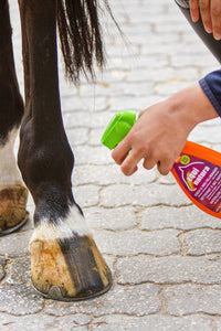 Nettoyant pelage express EQUINATURA