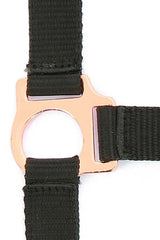 Licol + longe NORTON - Rose gold