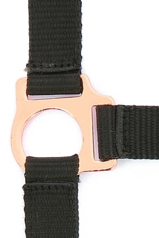 Licol + longe NORTON - Rose gold