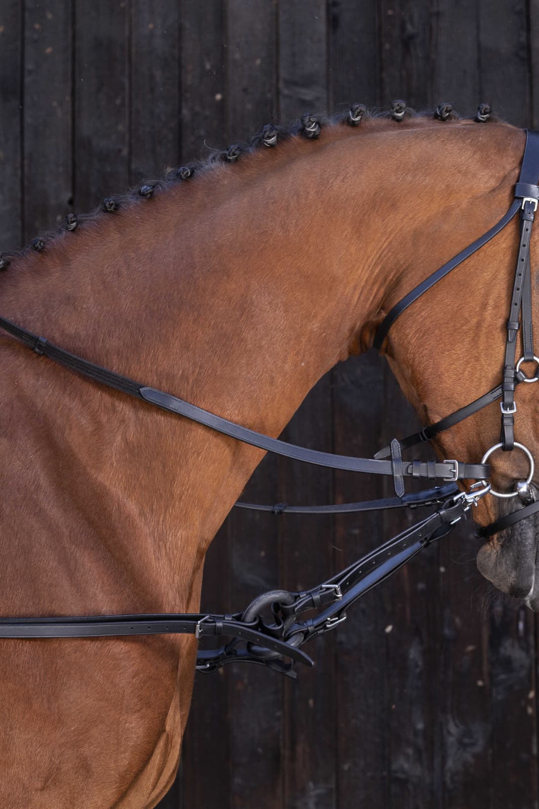 Enrênement caoutchouc RIDING WORLD