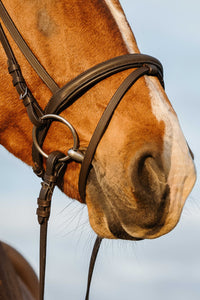 Bridon RIDING WORLD - Doublé muserolle combinée