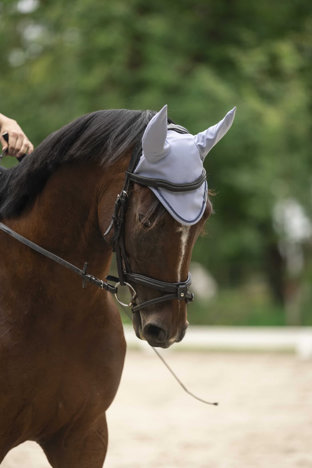 Bonnet chasse mouche LAMI-CELL - Midnight