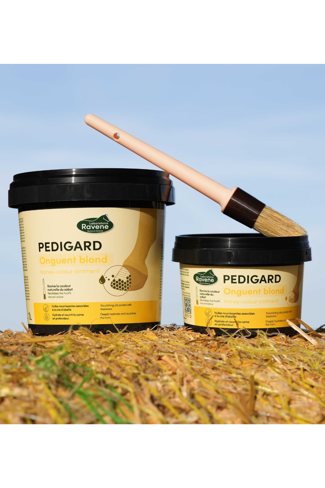 Pedigard RAVENE - Onguent blond