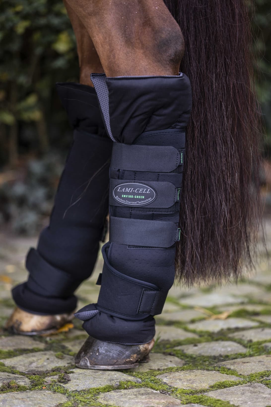 Stable boots LAMI-CELL - Bambou