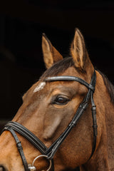 Bridon NORTON PRO - Galon