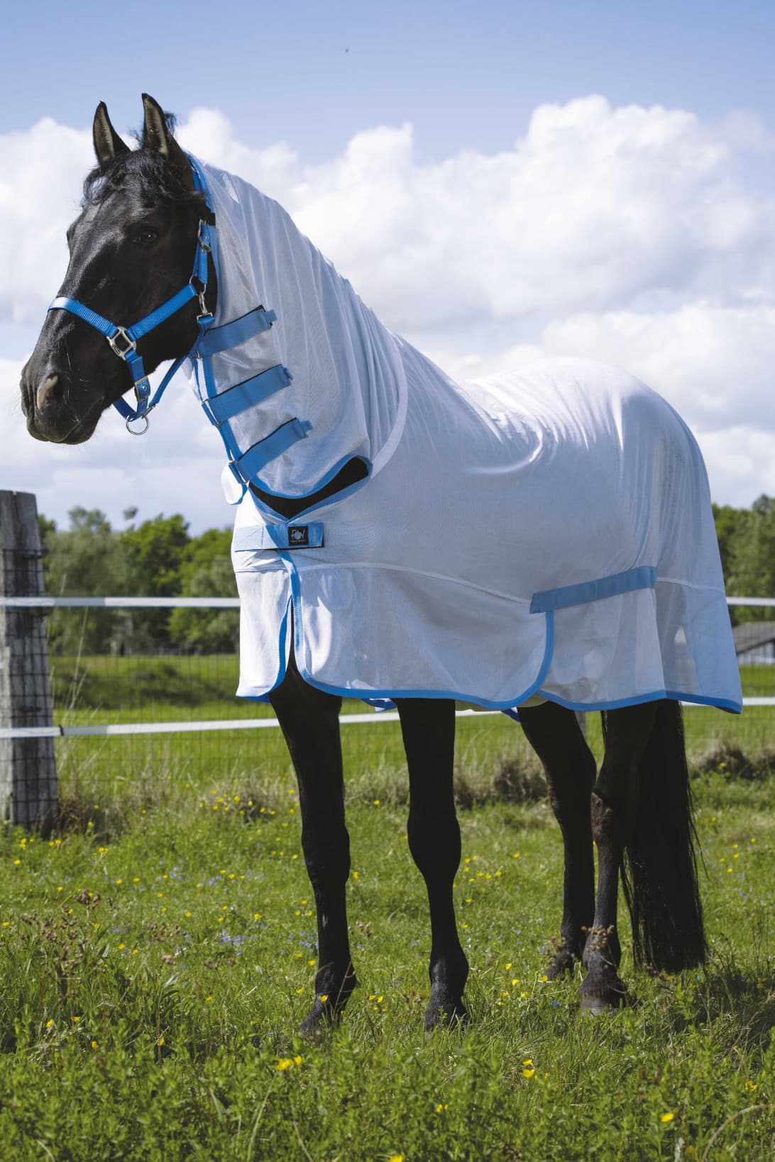 Chemise filet RIDING WORLD - Combo