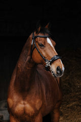 Bridon NORTON PRO - Hackamore