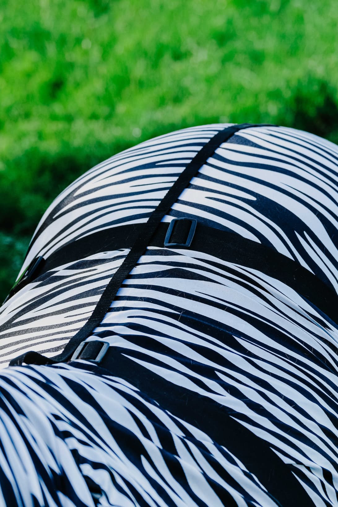 Chemise anti-eczéma zèbre RIDING WORLD