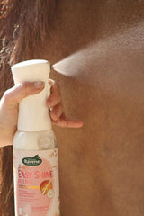 Easy Shine Intense RAVENE
