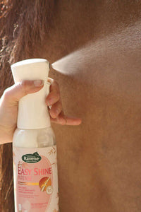 Easy Shine Intense RAVENE