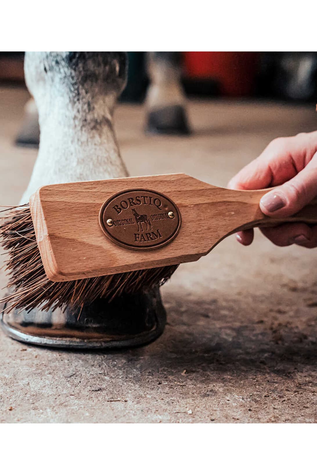 Brosse à sabots BORSTIQ - Islandaise