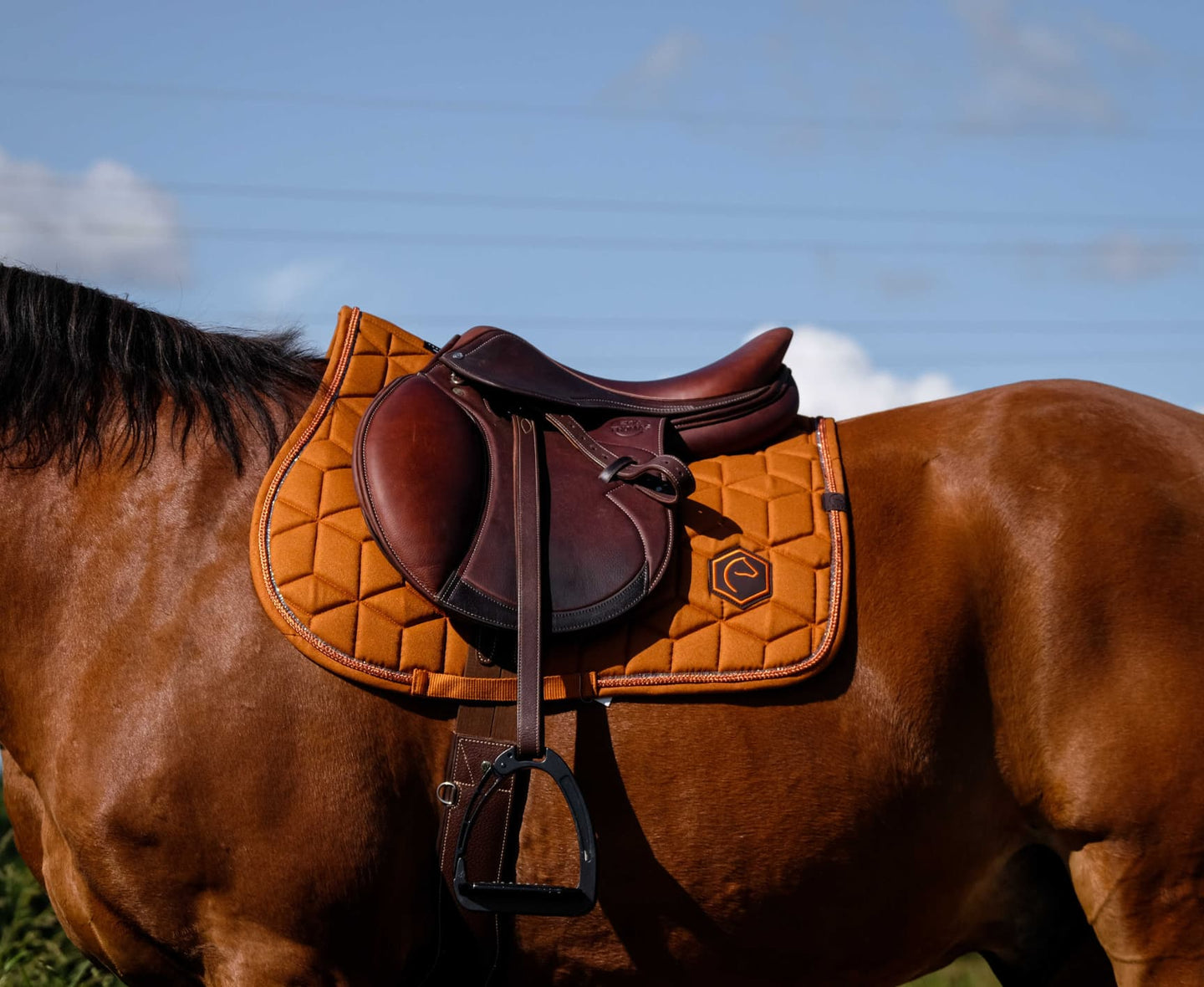Tapis de selle EQUITHÈME - Hexalight