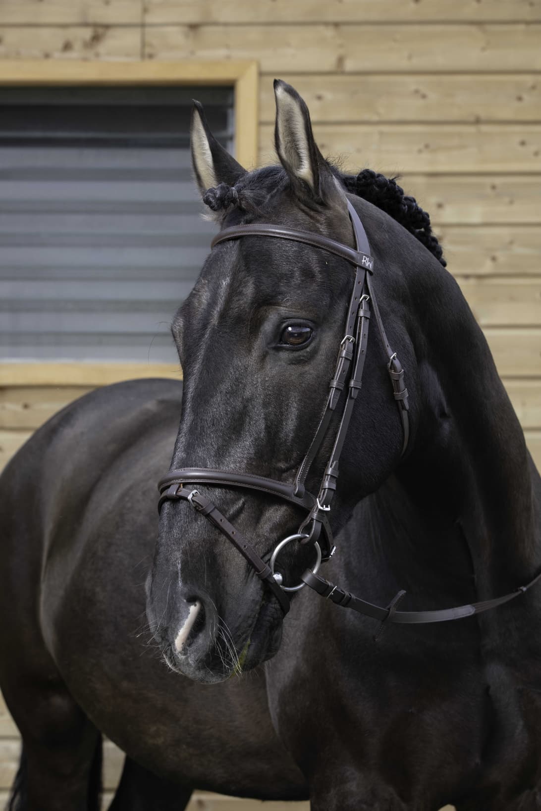 Bridon RIDING WORLD - Muserolle combinée