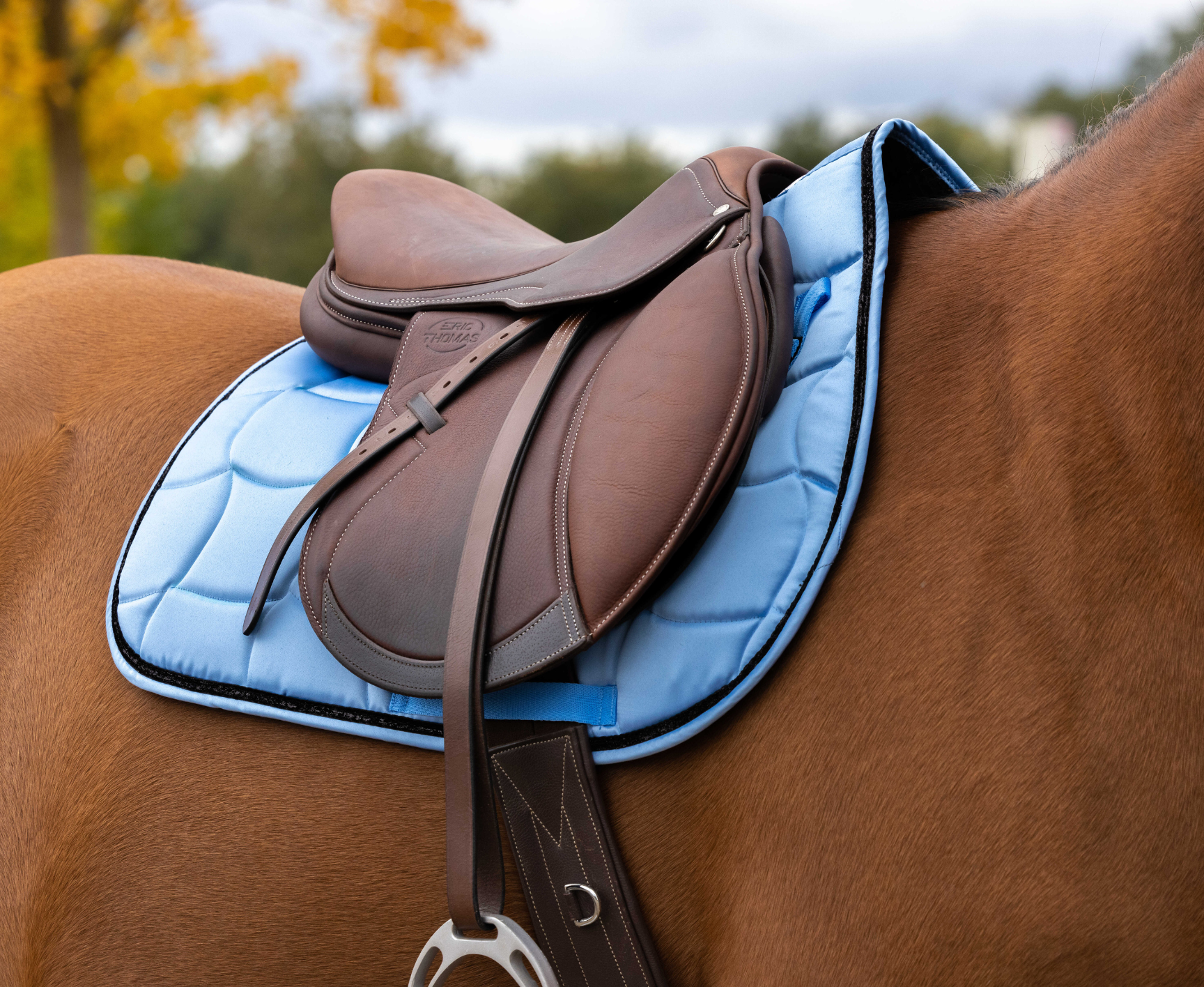Tapis de selle EQUITHÈME - Satin
