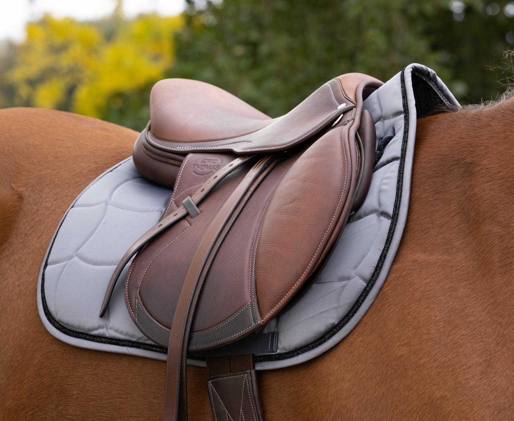 Tapis de selle EQUITHÈME - Satin