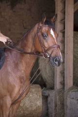 Rênes allemande NORTON PRO - Cuir/corde