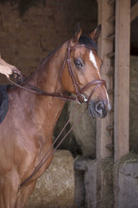 Rênes allemande NORTON PRO - Cuir/corde