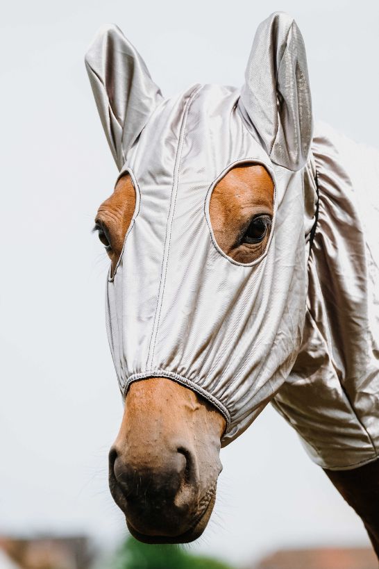 Bonnet anti-eczéma RIDING WORLD