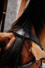 Bridon NORTON PRO - Bitless
