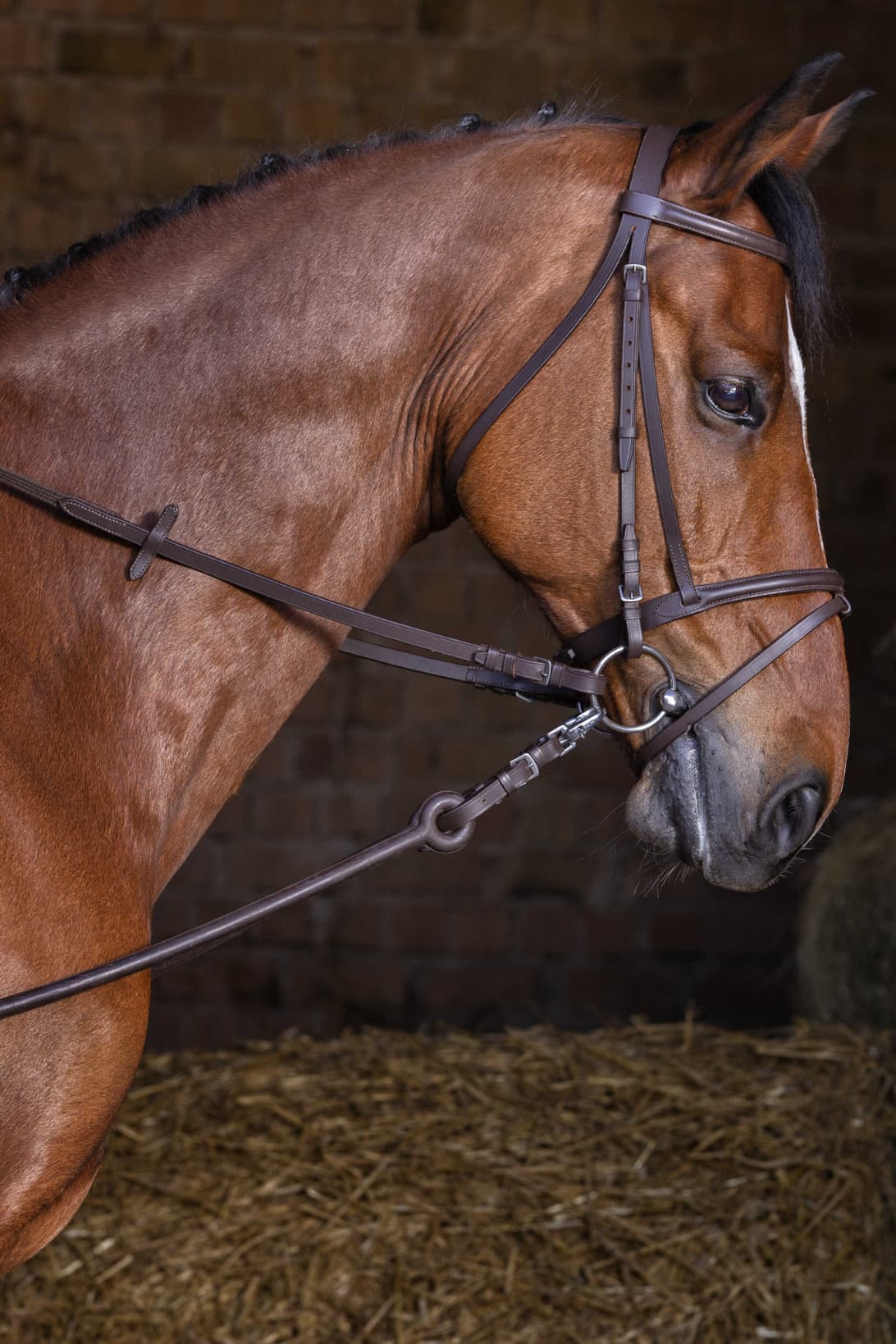 Enrênement Pirelli RIDING WORLD