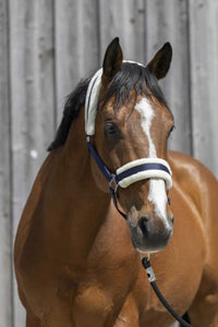 Licol RIDING WORLD mouton synthétique