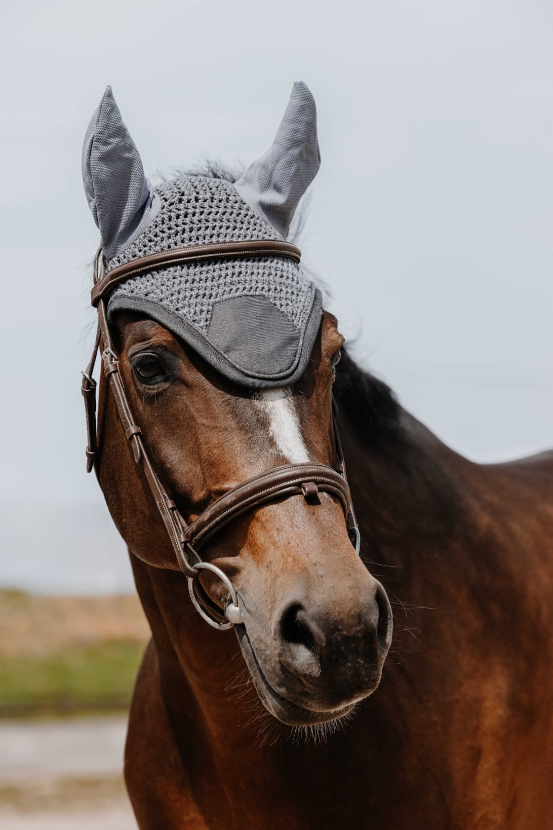 Bonnet chasse mouche EQUITHÈME - Chic