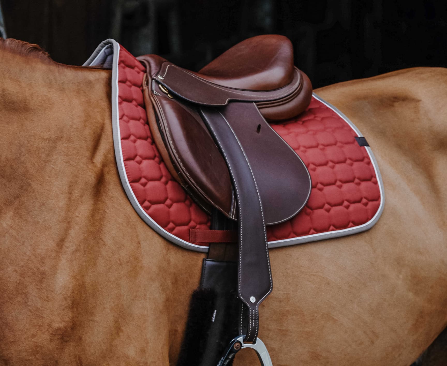 Tapis de selle EQUITHÈME - Orion
