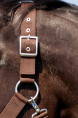 Licol NORTON - Cheval de trait