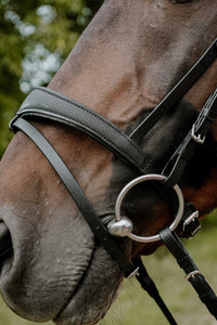 Bridon endurance NORTON - Pop