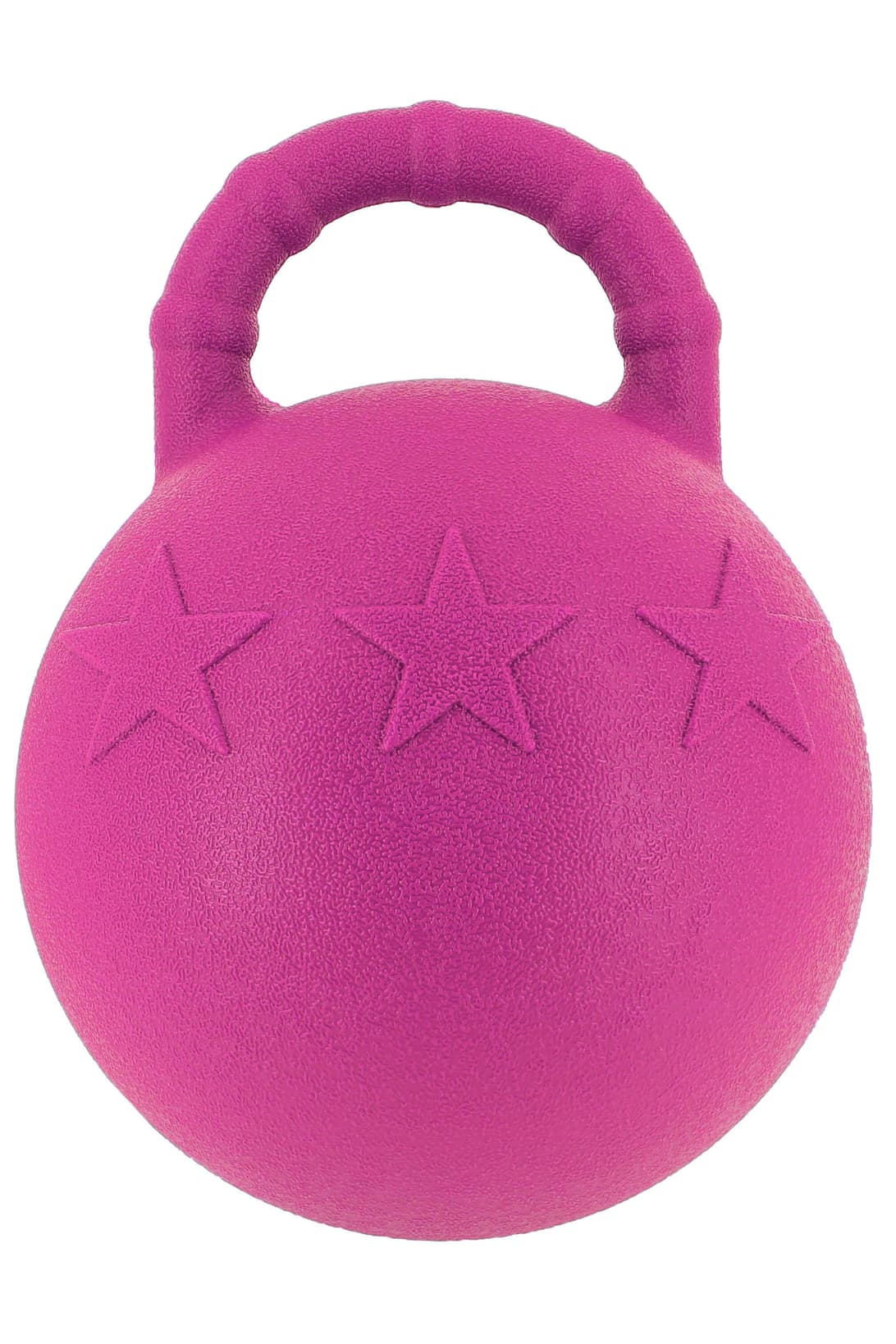 Ballon à poignée HIPPOTONIC