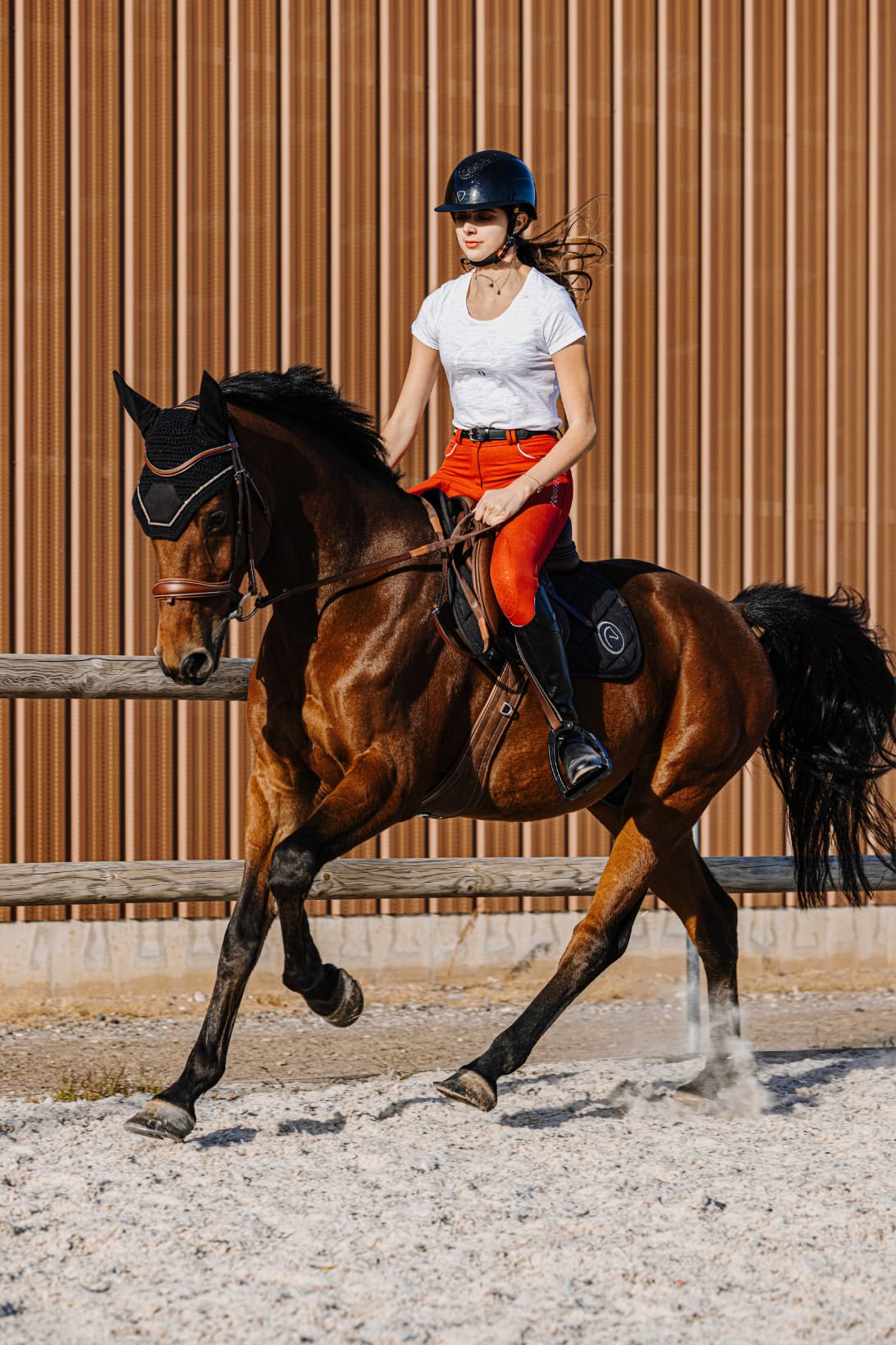 T-shirt EQUITHÈME - Claire-